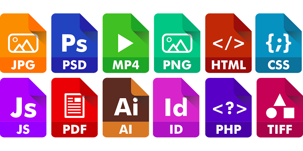 File formats graphic