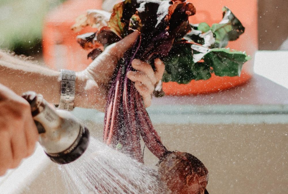 Greenhouse Marketing: Making Sure Your Business Grows