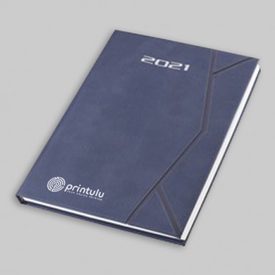 Diaries