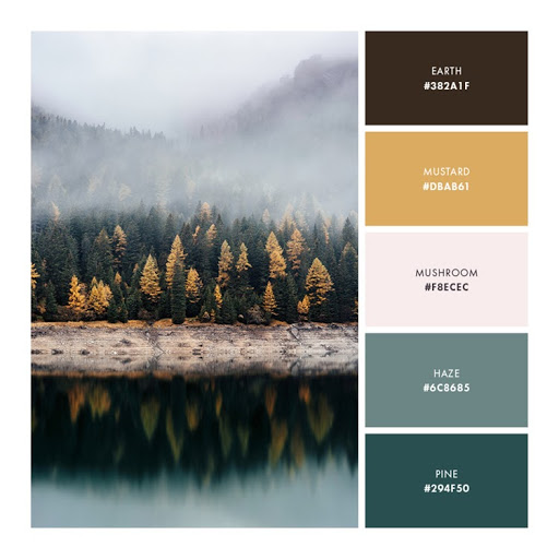 Misty woods colour palette